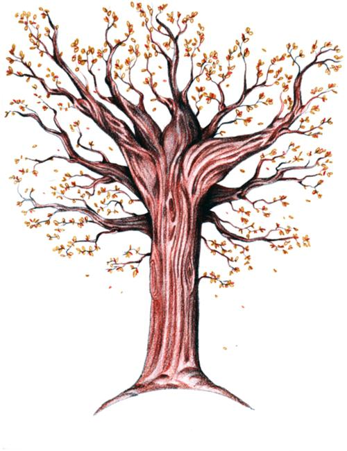 come disegnare un albero d'autunno
