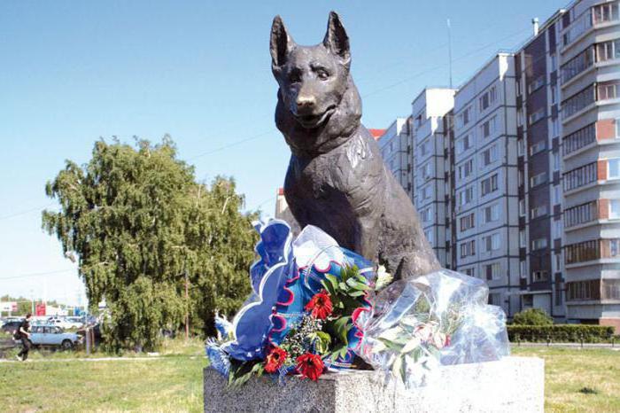 monumento di devozione al monumento al cane