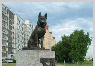 monumenti ai cani